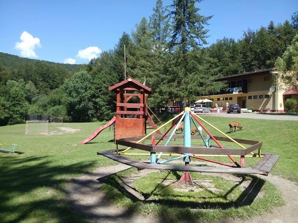 167.jpg